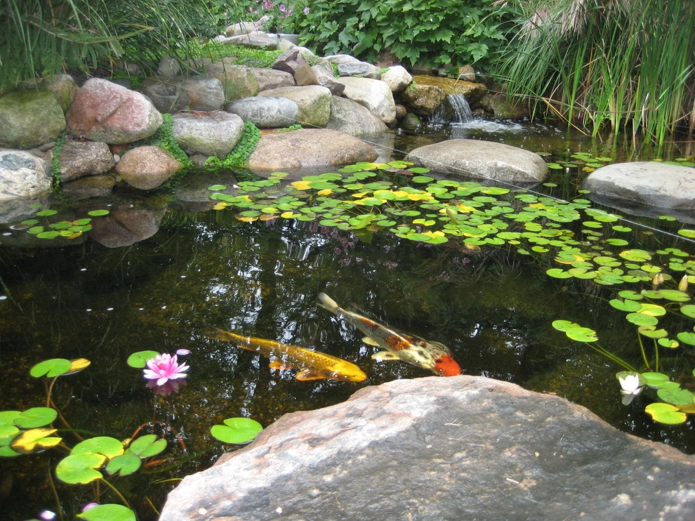 Water Features Various Projects by Daryl Toby - AguaFina Gardens International - Photo 5