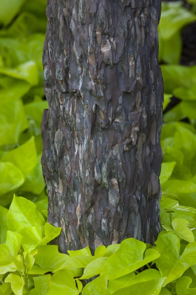 Stone, Steel & Sculpture by Daryl Toby - AguaFina Gardens International - Photo 18