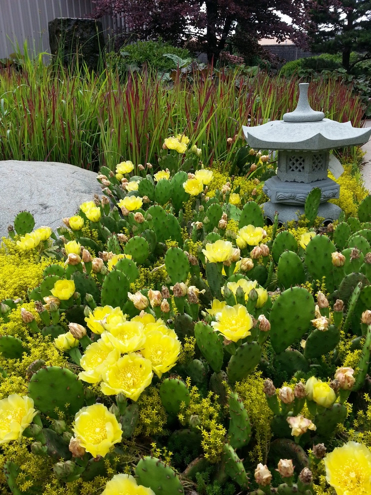 AguaFina's Studio by Daryl Toby - AguaFina Gardens International - Photo 4