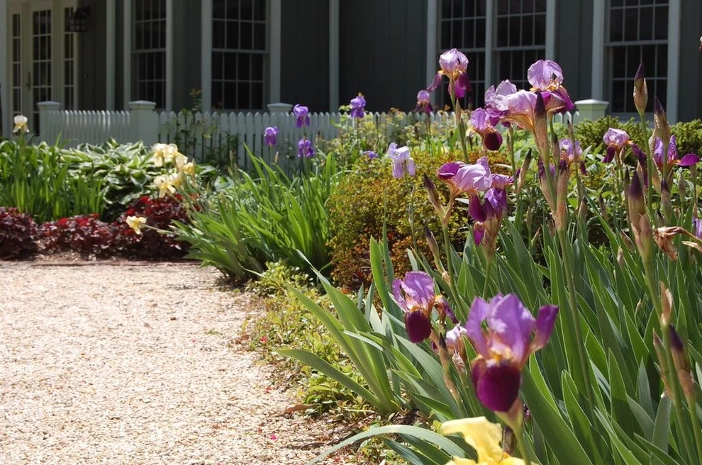 Landscaping a Weekend Retreat (Annapolis, MD) by Barks Road Landscape Architecture, Ltd. - Photo 2
