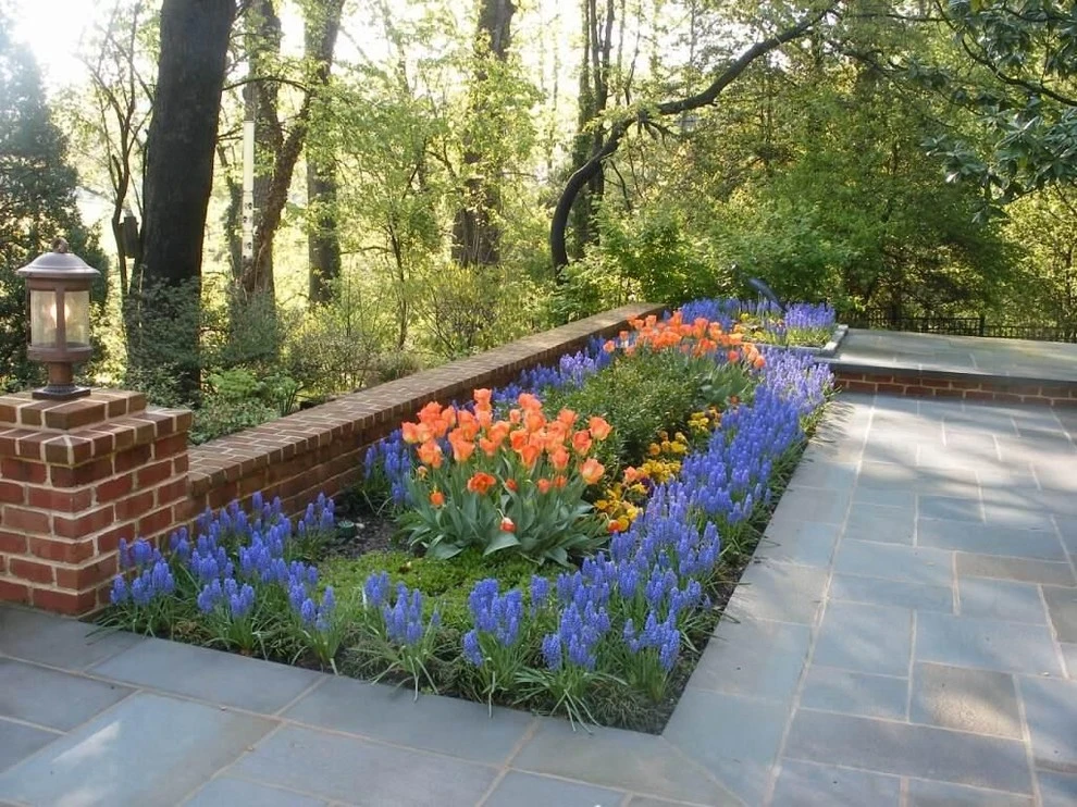 Barks Road Landscape Architecture, Ltd. - Photo 4