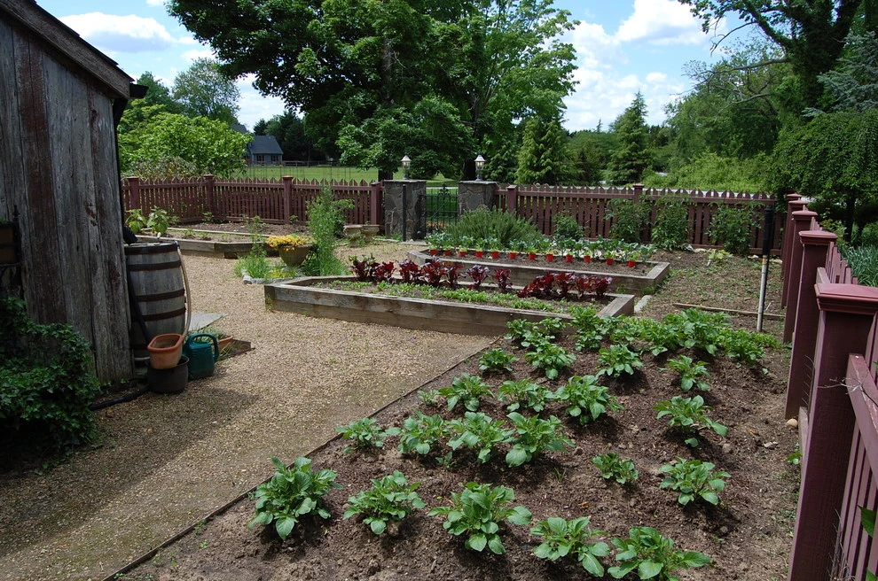 St. Margarets Landscape Project (Annapolis, MD) by Barks Road Landscape Architecture, Ltd. - Photo 9