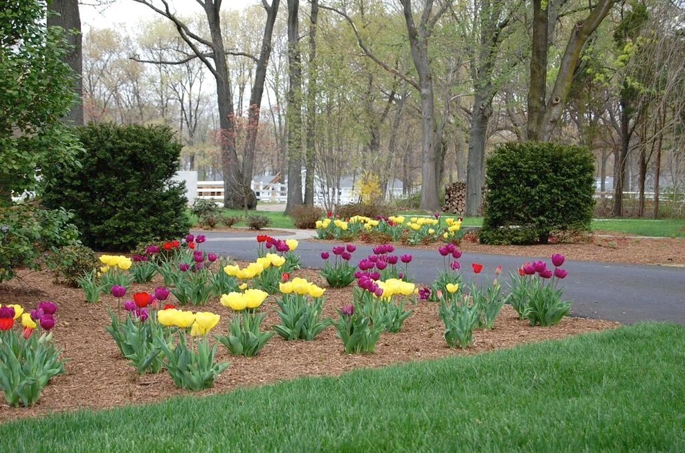 Maryland Red Barn (Baltimore, MD) by Barks Road Landscape Architecture, Ltd. - Photo 7