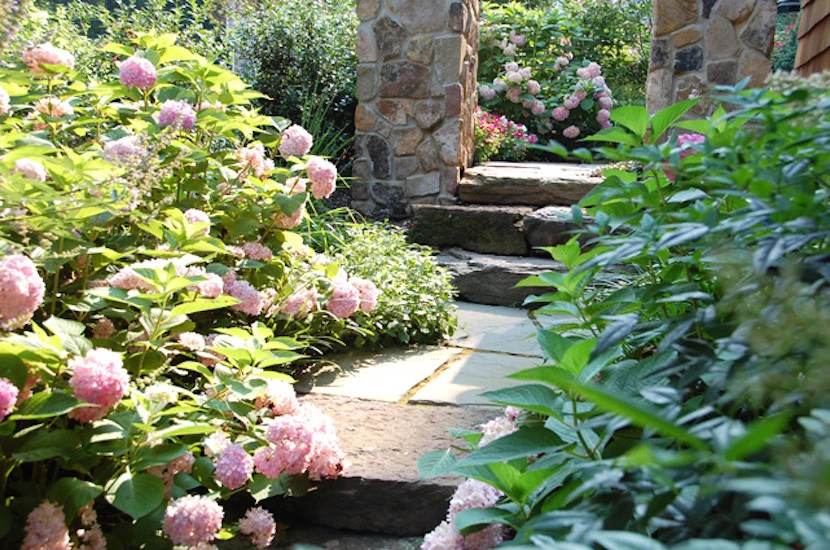 Narrow Riverfront Landscaping (Severna Park, MD) by Barks Road Landscape Architecture, Ltd. - Photo 3