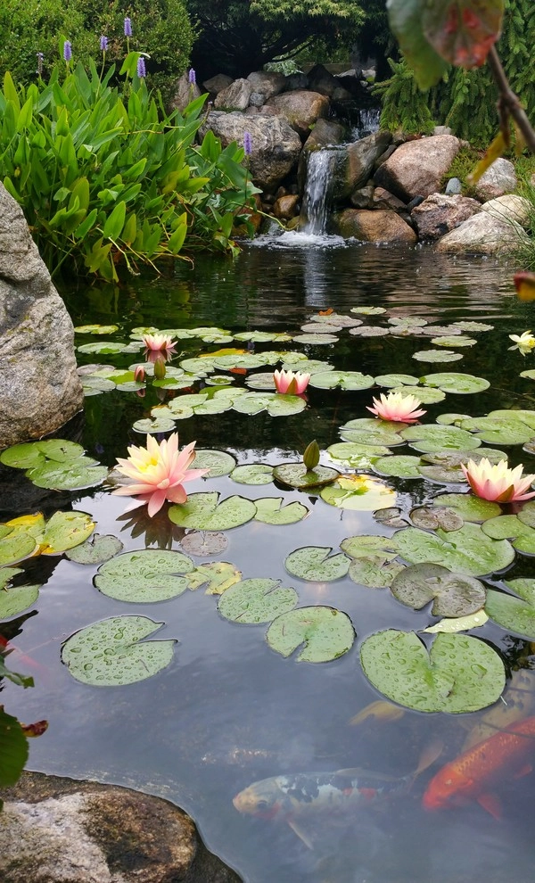 Water Features Various Projects by Daryl Toby - AguaFina Gardens International - Photo 13