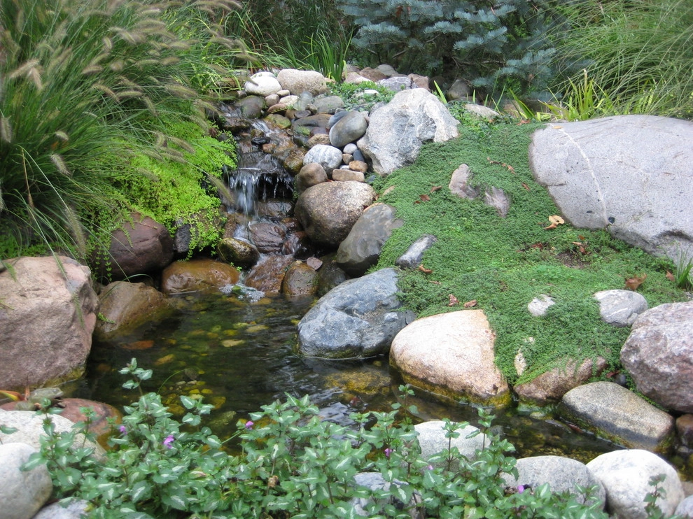 Water Features Various Projects by Daryl Toby - AguaFina Gardens International - Photo 3