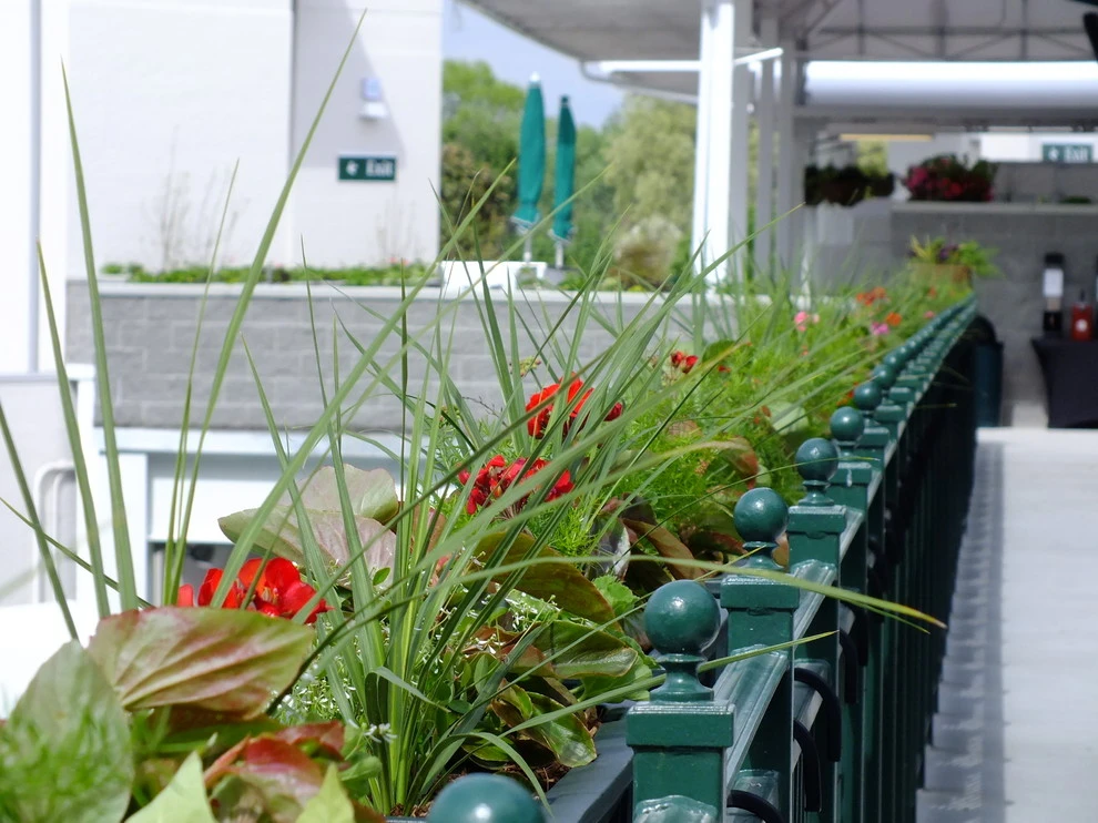 Churchill Downs by Barrett Partners - Photo 11