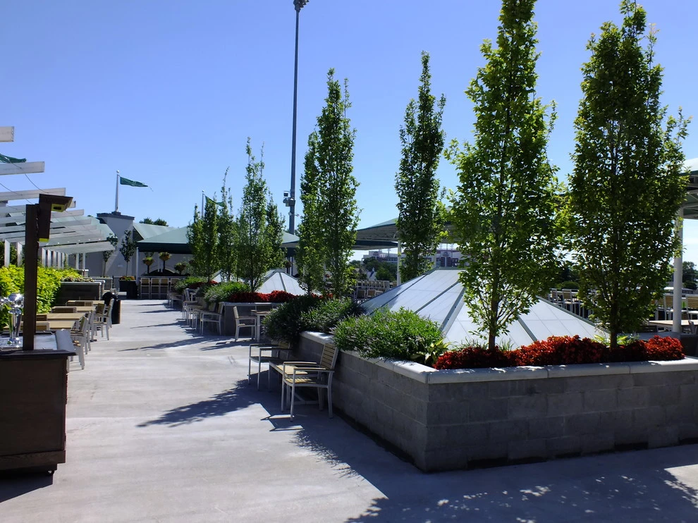 Churchill Downs by Barrett Partners - Photo 10