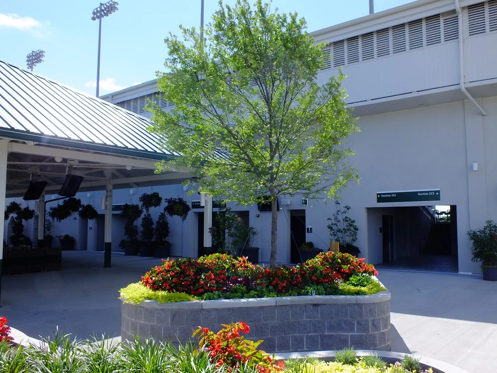 Churchill Downs by Barrett Partners - Photo 6