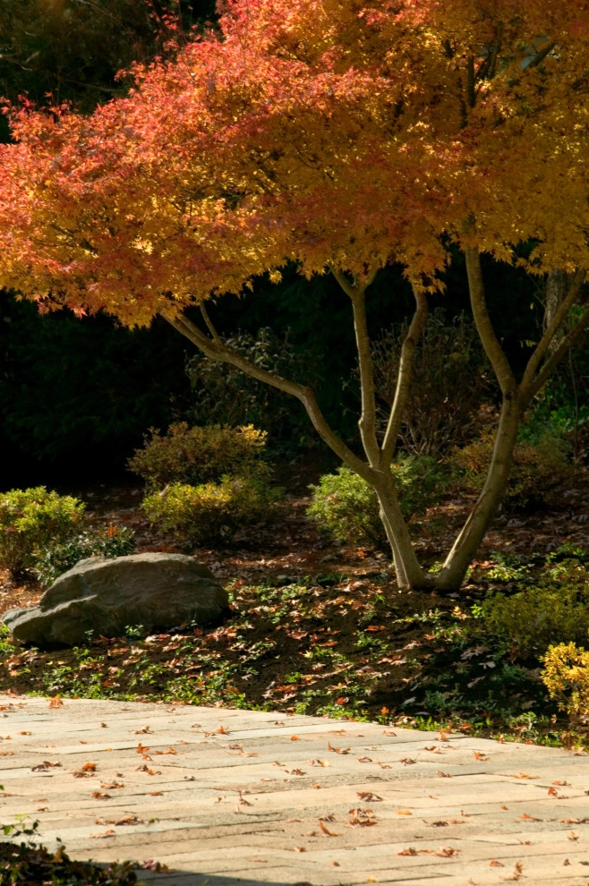 Asian Inspired Stone Garden by Daryl Toby - AguaFina Gardens International - Photo 4