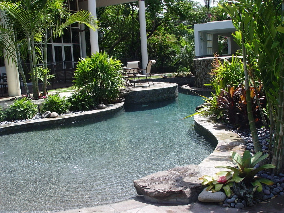 South Miami Tropical Oasis by David Font Design - Photo 11
