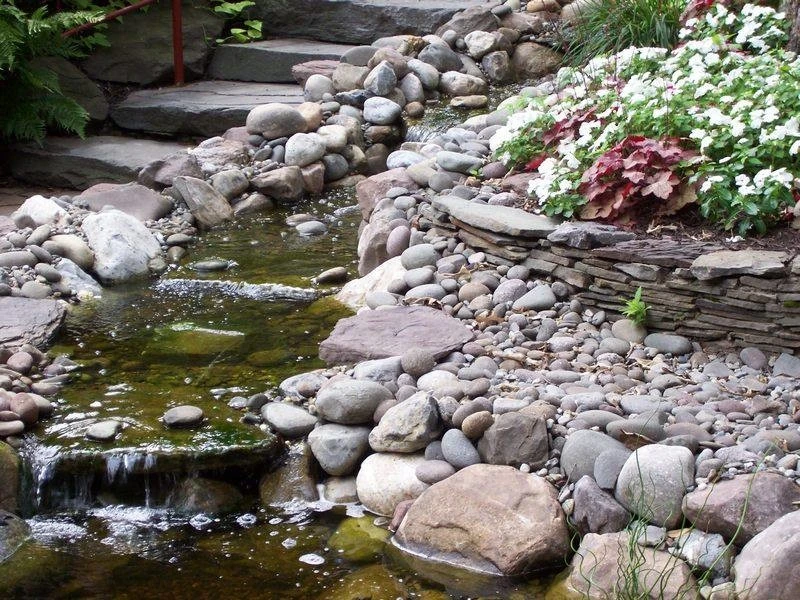 Beaver Pond Lawn & Landscape Ltd - Photo 12