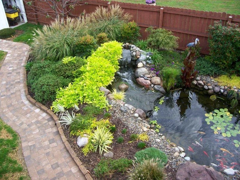 Beaver Pond Lawn & Landscape Ltd - Photo 3