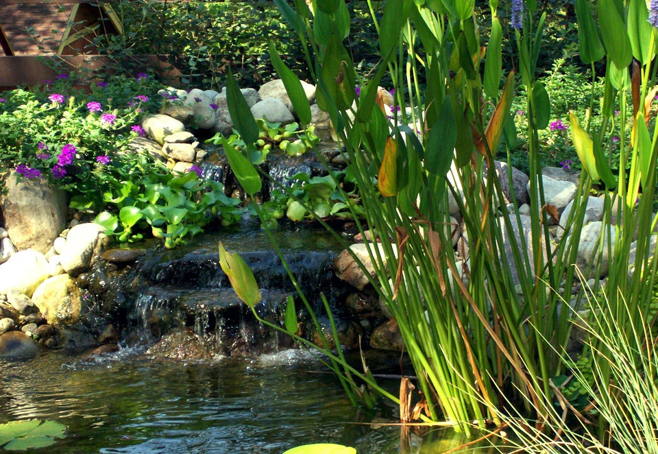 Beaver Pond Lawn & Landscape Ltd - Photo 9