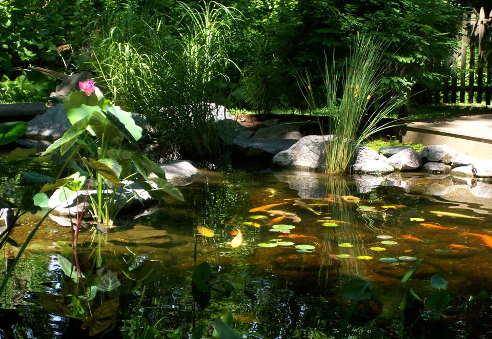Beaver Pond Lawn & Landscape Ltd - Photo 10
