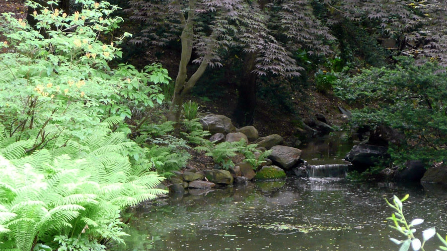 Woodland by David R. Lamb, Landscape Architect - Photo 2