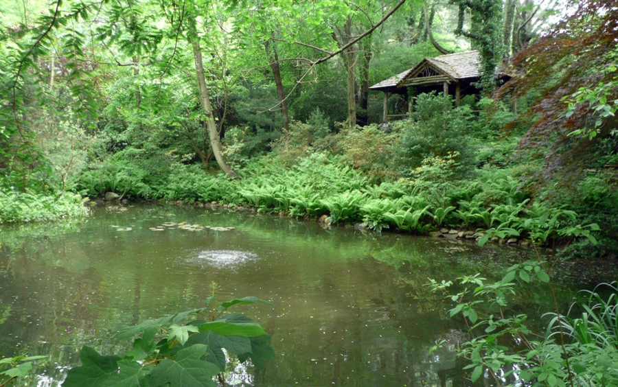 David R. Lamb, Landscape Architect - Photo 2
