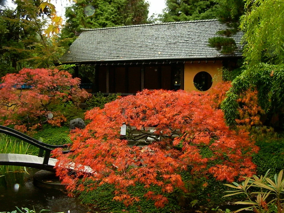 Botanical Gardens by BEvolved Consulting - Photo 8
