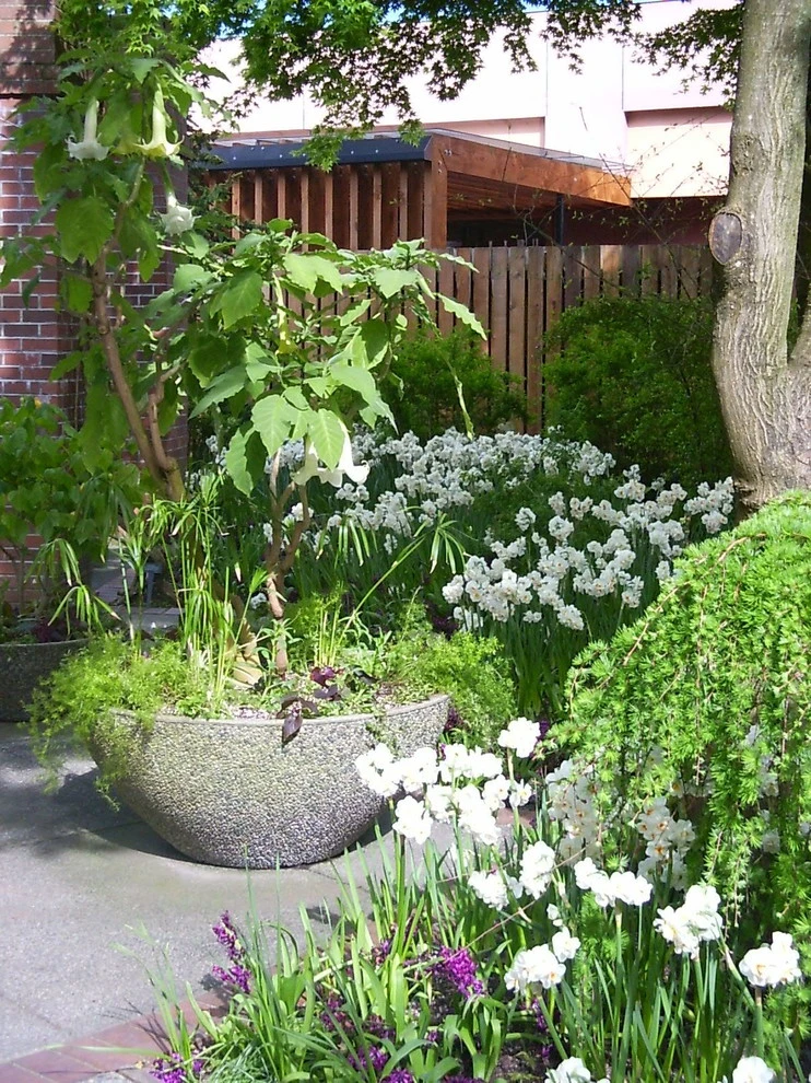 Botanical Gardens by BEvolved Consulting - Photo 2