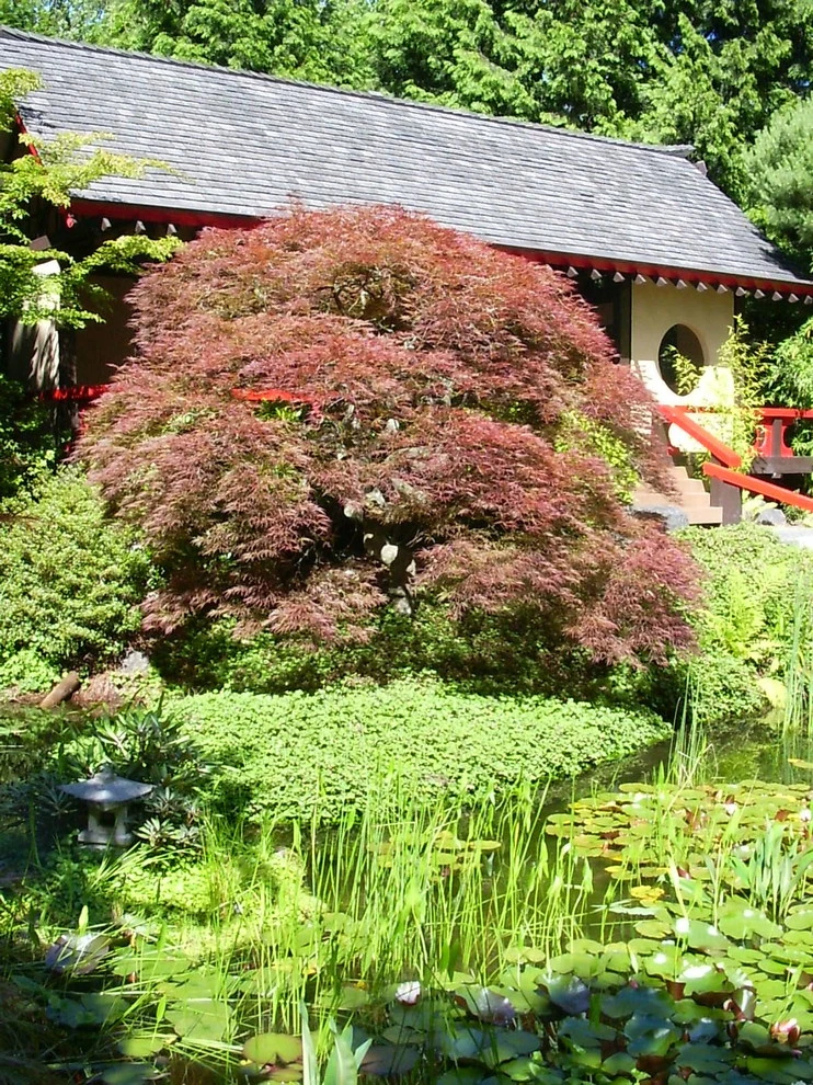 Botanical Gardens by BEvolved Consulting - Photo 11