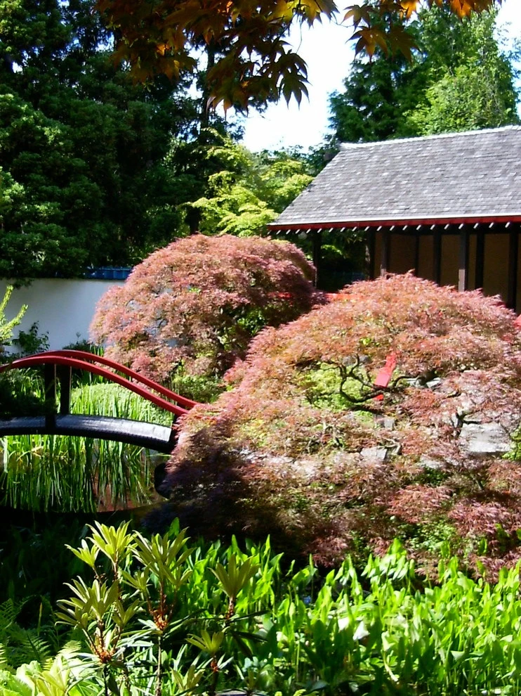 Botanical Gardens by BEvolved Consulting - Photo 3
