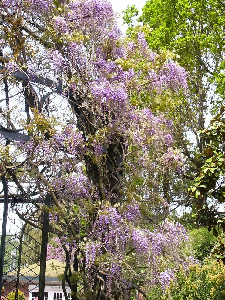 Botanical Gardens by BEvolved Consulting - Photo 5