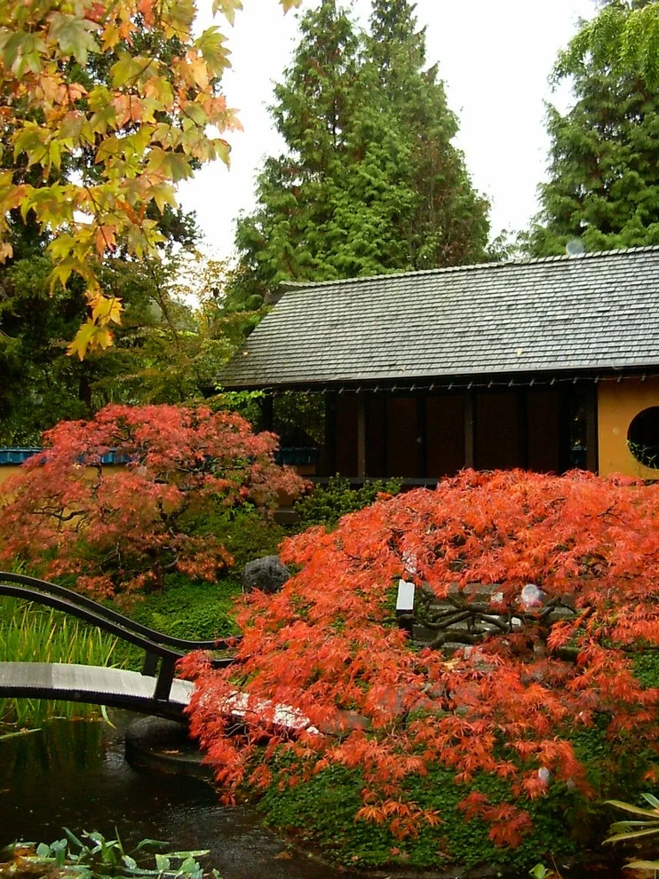 Botanical Gardens by BEvolved Consulting - Photo 14