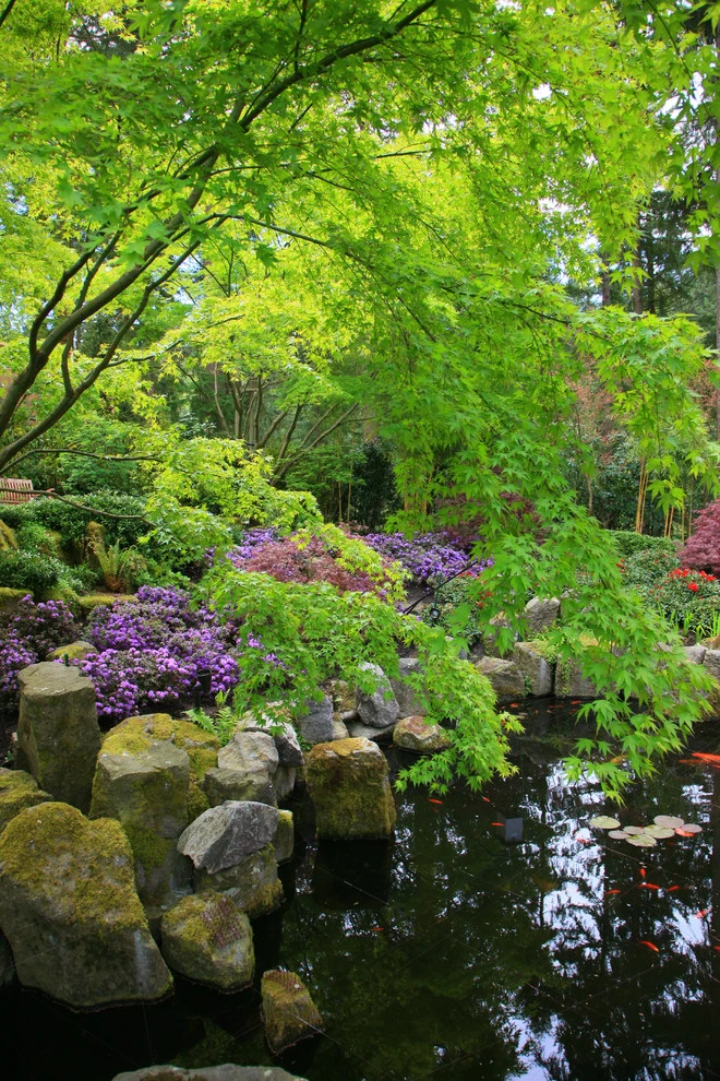 Seasons of color by BEvolved Consulting - Photo 2