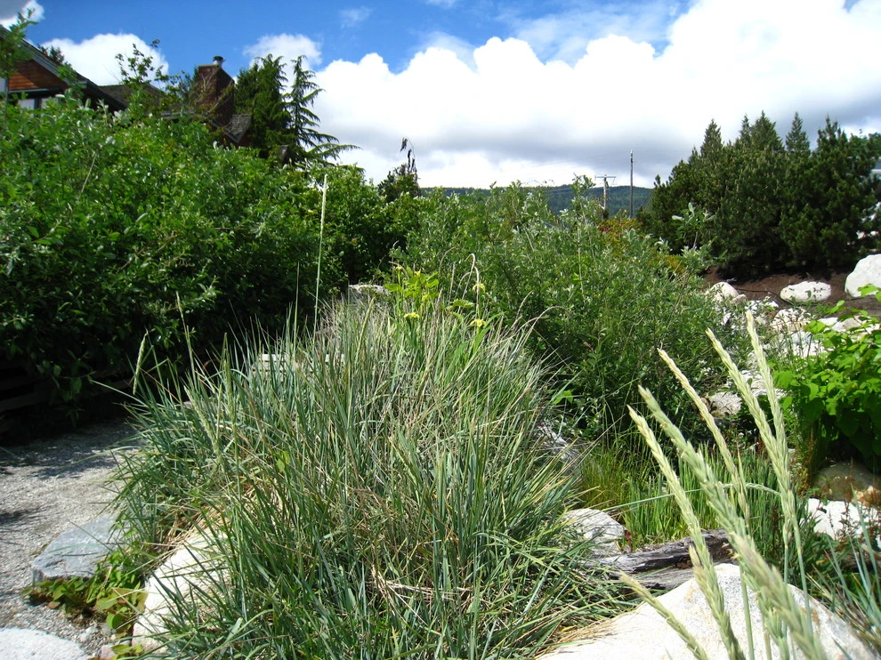 Natural Landscapes by BEvolved Consulting - Photo 4