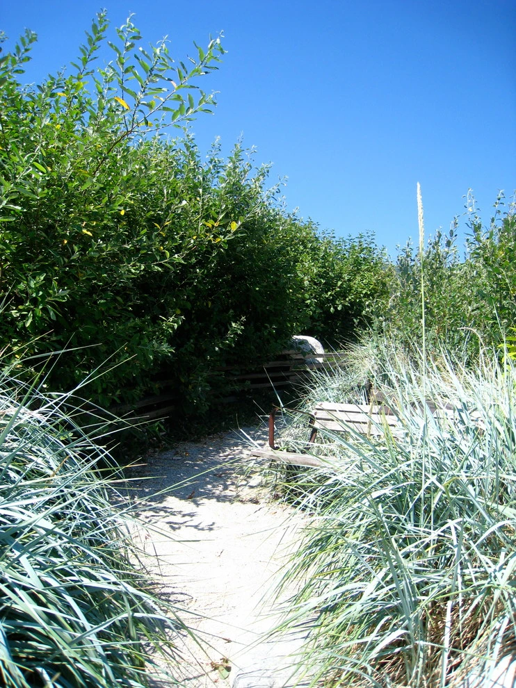 Natural Landscapes by BEvolved Consulting - Photo 3