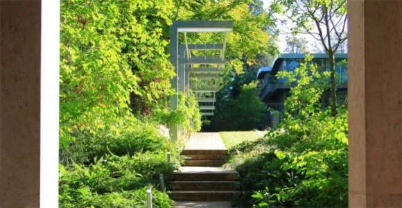 Native Plants + Natural Environments by BEvolved Consulting - Photo 2