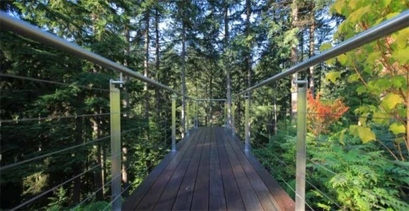 Native Plants + Natural Environments by BEvolved Consulting - Photo 3
