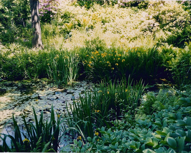David R. Lamb, Landscape Architect - Photo 12
