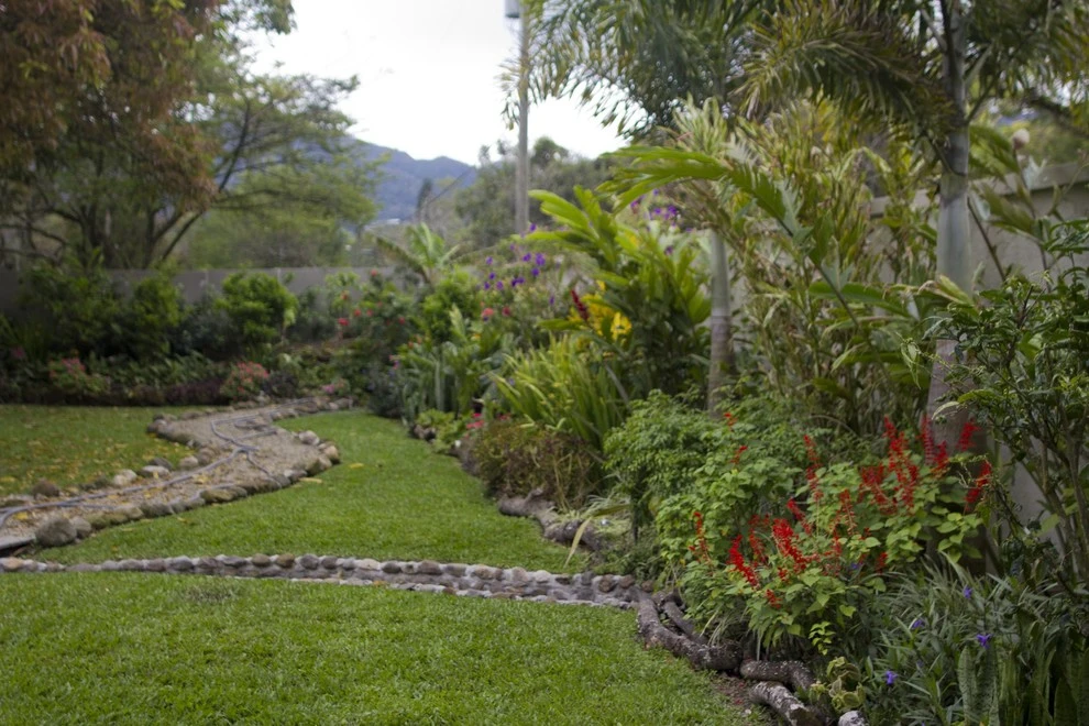 El Valle Tropical Garden by Bloom Sarasota - Photo 9