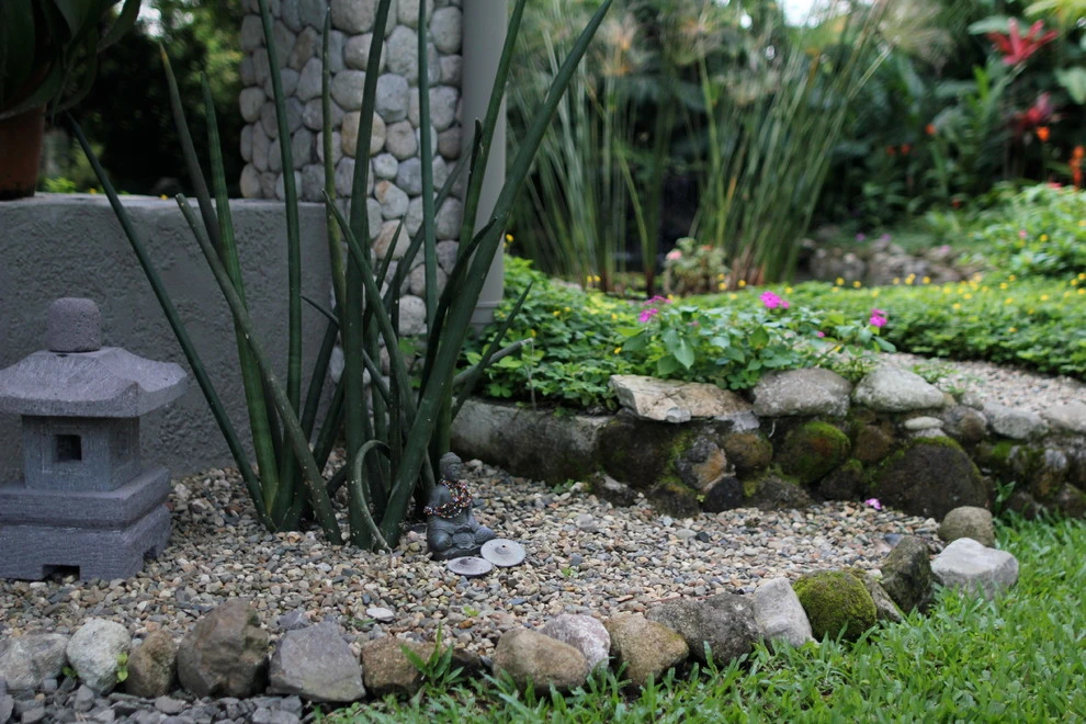 El Valle Tropical Garden by Bloom Sarasota - Photo 10