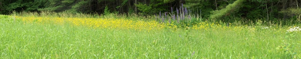 Ann Kearsley Design - Photo 14