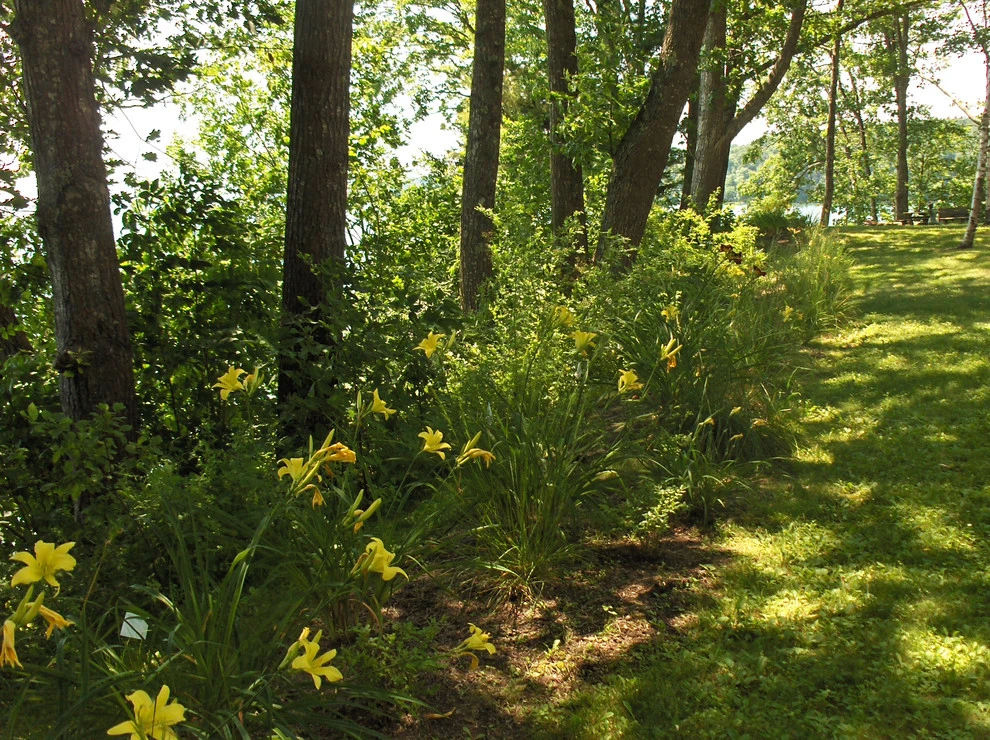 On Casco Bay Garden by Ann Kearsley Design - Photo 2