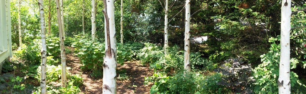 Seaside Garden by Ann Kearsley Design - Photo 3