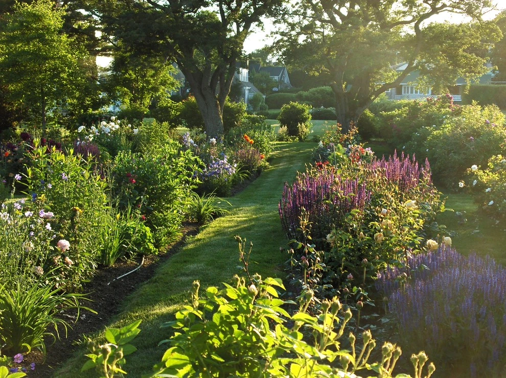 Seaside Garden by Ann Kearsley Design - Photo 2