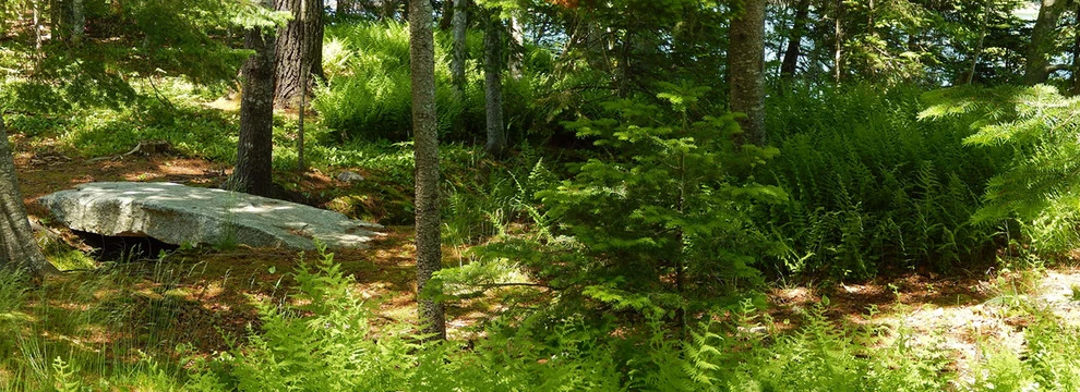 Ann Kearsley Design - Photo 9