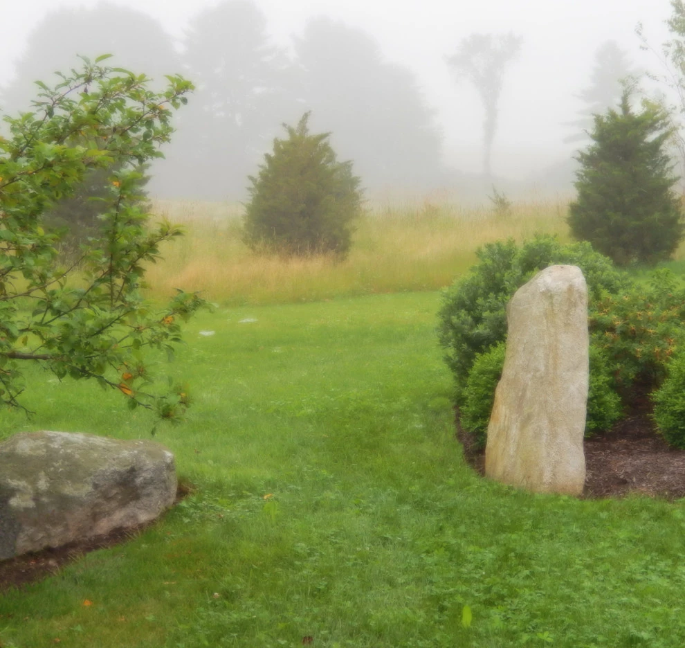 Nearmerezero by Ann Kearsley Design - Photo 4