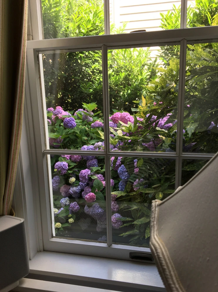 Gardens by Annabelle Sailer Garden Design - Photo 9
