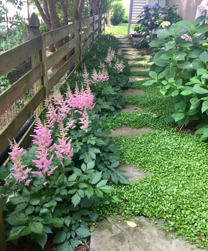Gardens by Annabelle Sailer Garden Design - Photo 16