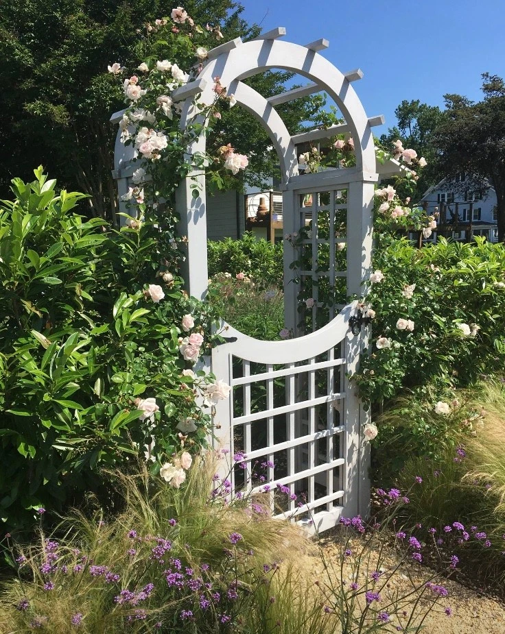 Gardens by Annabelle Sailer Garden Design - Photo 21