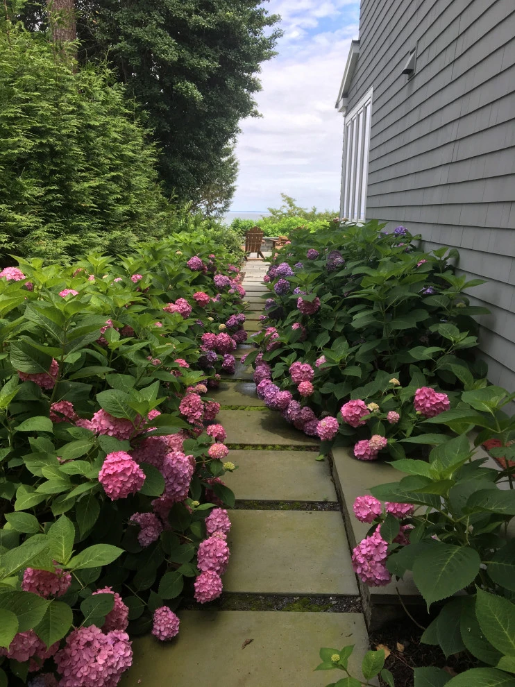 Gardens by Annabelle Sailer Garden Design - Photo 12