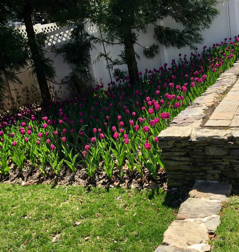 Gardens by Annabelle Sailer Garden Design - Photo 11