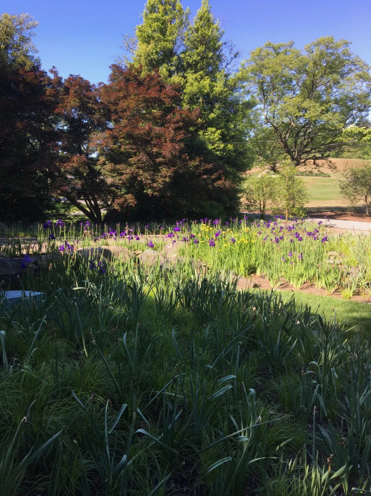Gardens by Annabelle Sailer Garden Design - Photo 4