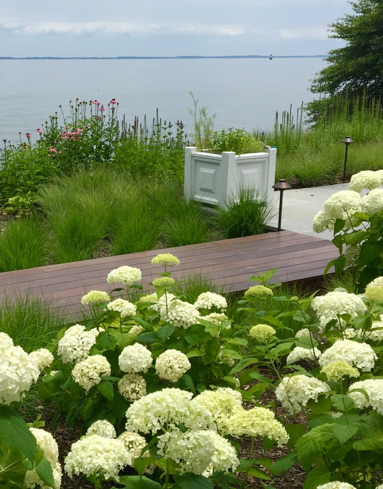 Gardens by Annabelle Sailer Garden Design - Photo 17