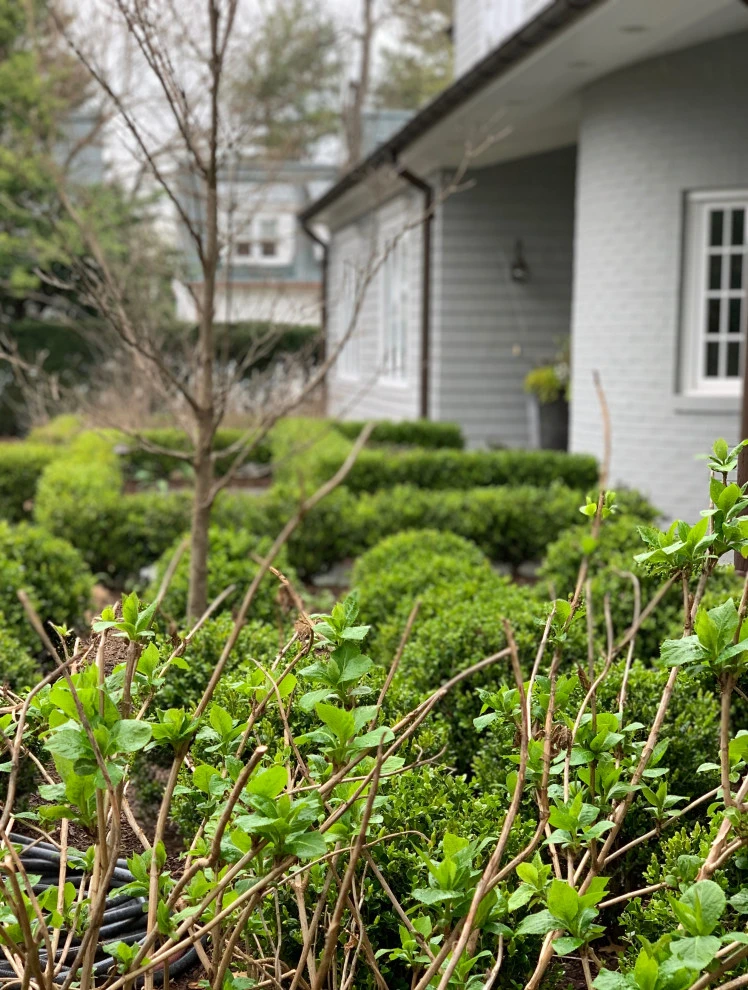 Gibson Island by Annabelle Sailer Garden Design - Photo 12