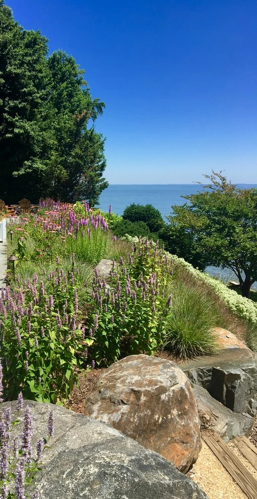 Gibson Island by Annabelle Sailer Garden Design - Photo 14